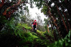 BIB: 
                            <button type="button" onclick="openModal(26203572)" class="btn btn-primary btn-sm float-right btn-popup" data-toggle="modal" data-target=".modal-high-quality">
                        <i class="fas fa-shopping-cart"></i> Add to Cart
                    </button>
                                            <button type="button" onclick="isThisMe(26203572, true)" class="btn btn-success btn-sm float-right btn-popup btn-isme hidden" data-toggle="tooltip" data-placement="bottom" title="นี่คือรูปของคุณใช่ไหม คลิกที่นี่เพื่อเอาเข้าอัลบั้ม">
                        <i class="fas fa-plus"></i> Add to album
                    </button>
                    <button type="button" onclick="isThisMe(26203572, false)" class="btn btn-warning btn-sm float-right btn-popup btn-isnotme hidden">
                        <i class="fas fa-ban"></i> Remove from album
                    </button>